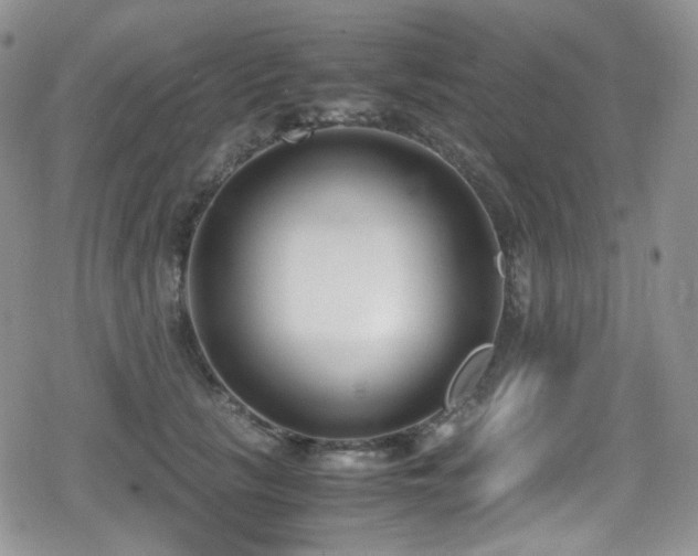 X0000080170657200612081402