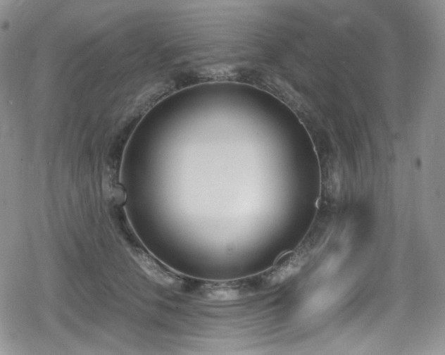X0000080170658200612081402