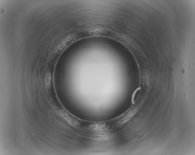 X0000080170660200612081402