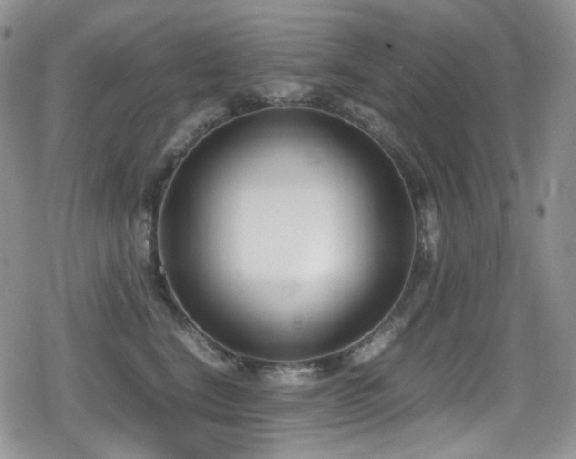 X0000080170664200612081402