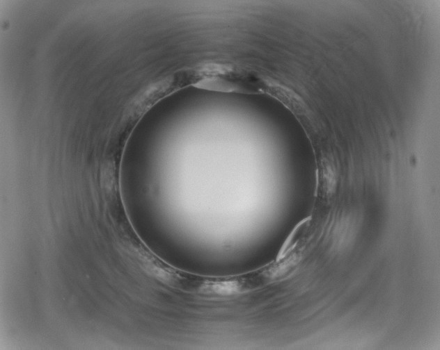 X0000080170665200612081402