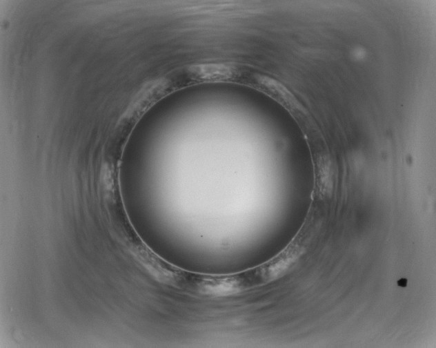 X0000080170667200612081402