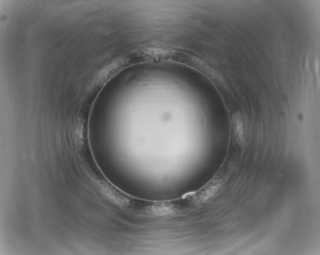X0000080170668200612081402