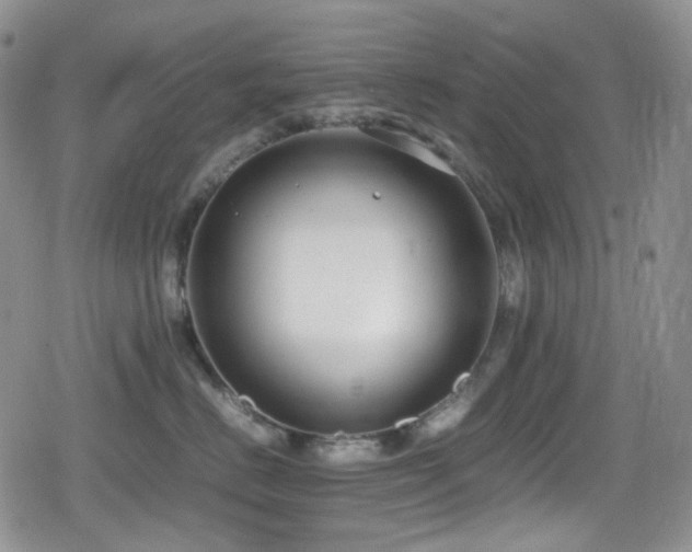 X0000080170670200612081402