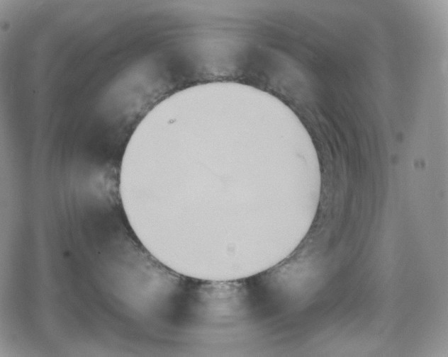 X0000080170672200612081402
