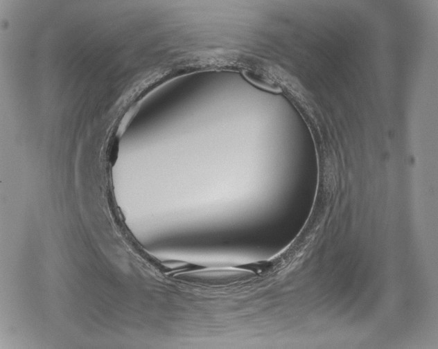 X0000080170673200612081401
