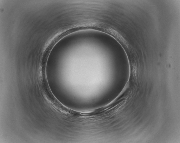 X0000080170676200612081401