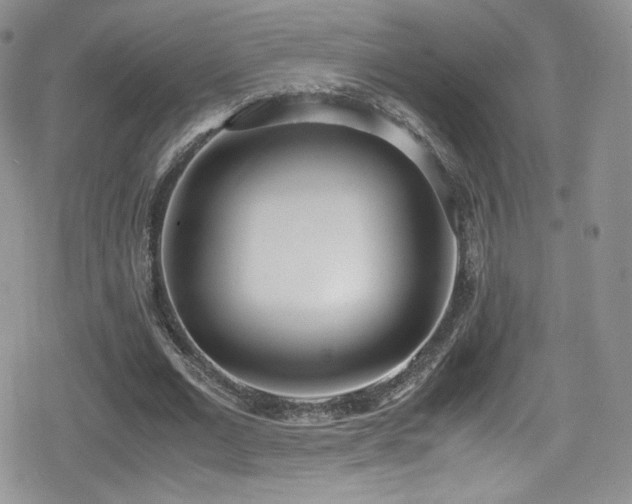 X0000080170677200612081401