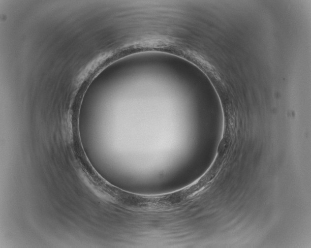 X0000080170678200612081401