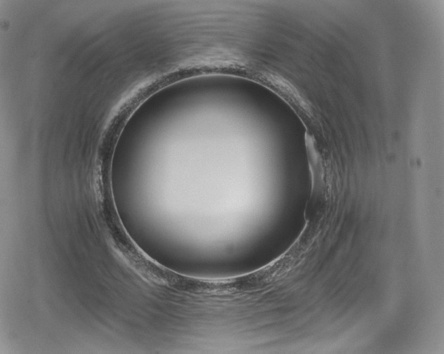 X0000080170680200612081401