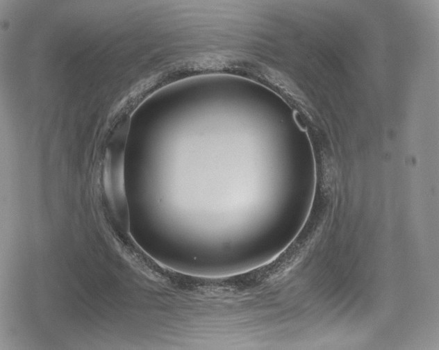 X0000080170681200612081401