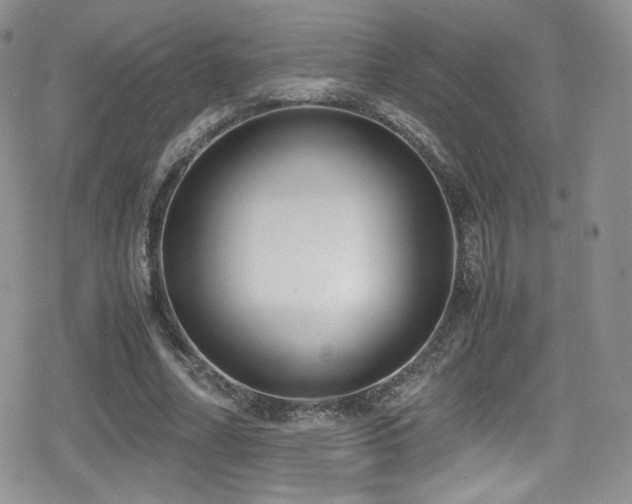 X0000080170682200612081401