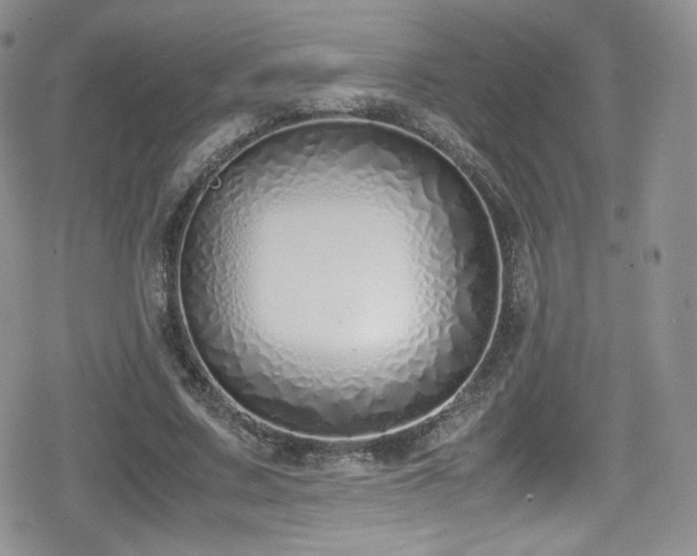 X0000080170683200612081401