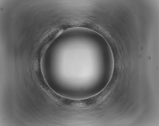X0000080170689200612081401