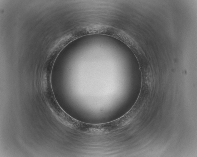 X0000080170690200612081401
