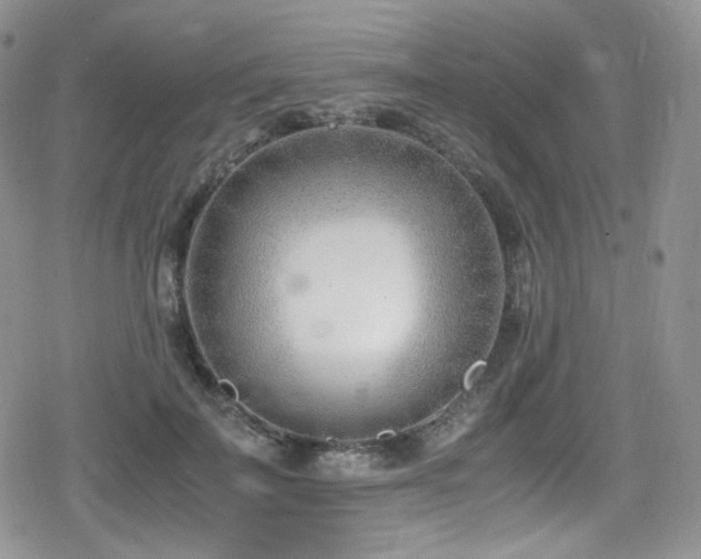 X0000080170699200612081401