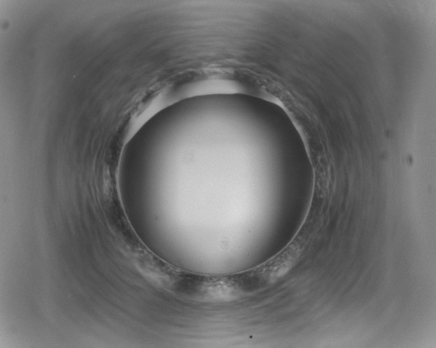 X0000080170704200612081401