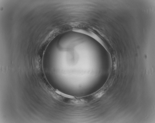 X0000080170712200612081400