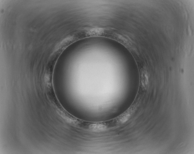 X0000080170714200612081400