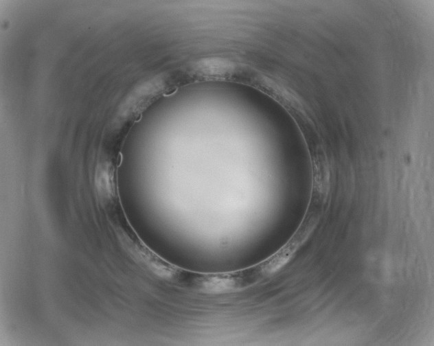 X0000080170718200612081400