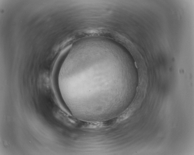 X0000080170720200612081400