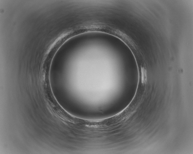 X0000080170723200612081400