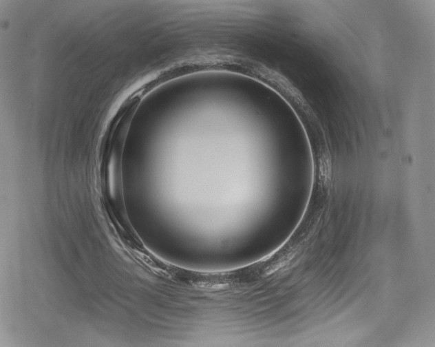 X0000080170724200612081400