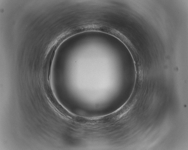 X0000080170725200612081400