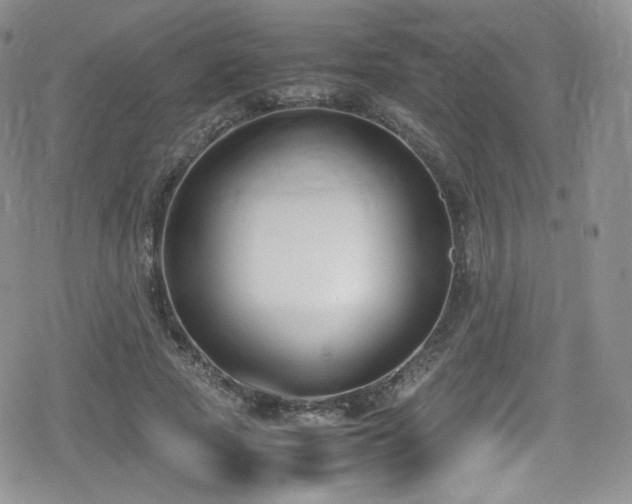 X0000080170737200612081400