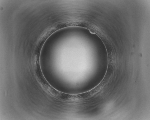 X0000080170742200612081400