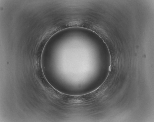 X0000080170743200612081400
