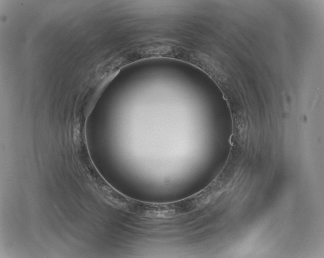 X0000080170745200612081400