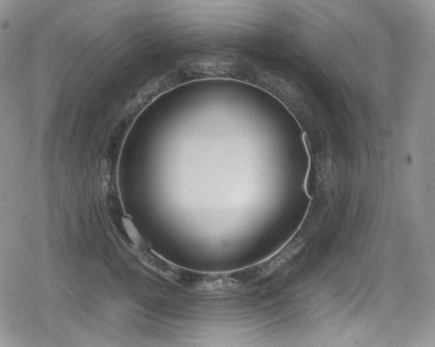 X0000080170752200612081400