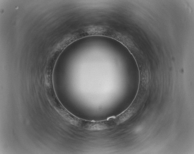 X0000080170755200612081400