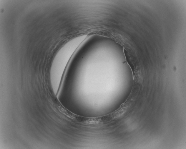 X0000080170756200612081400