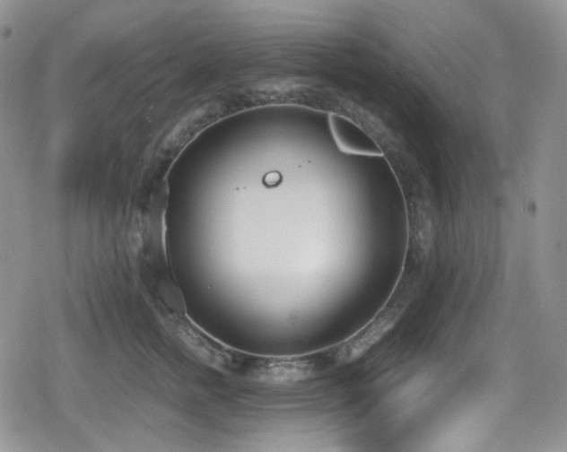 X0000080170758200612081400