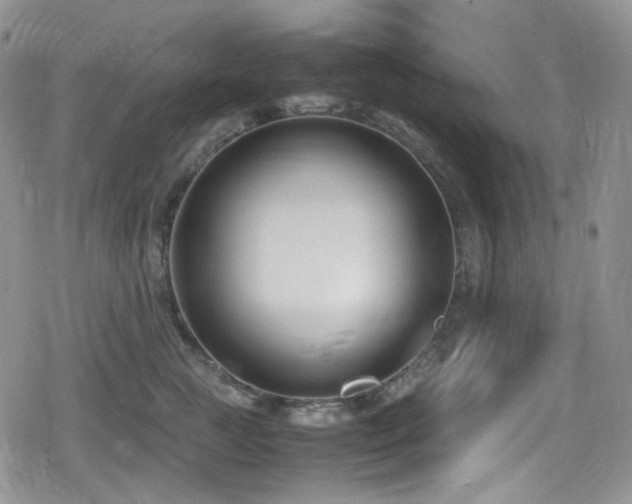 X0000080170761200612081400