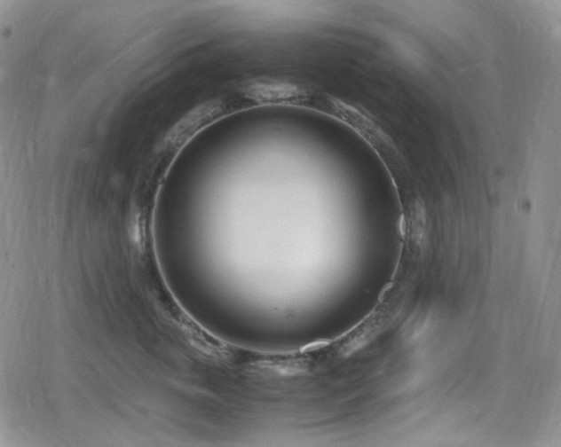 X0000080170763200612081400