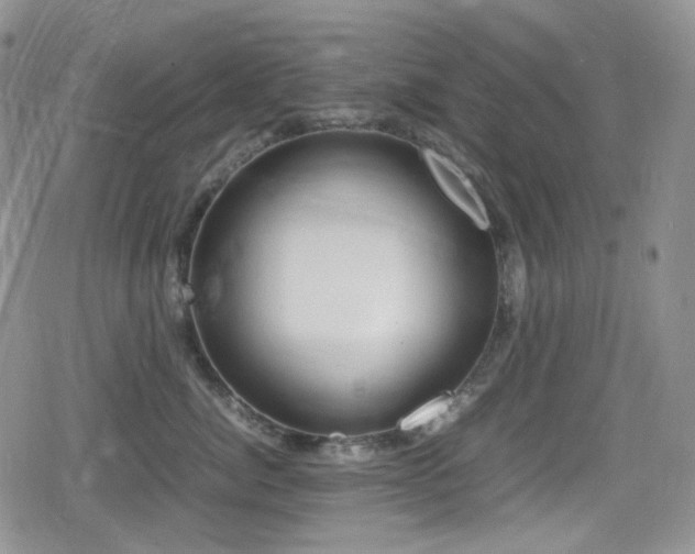 X0000080170764200612081400