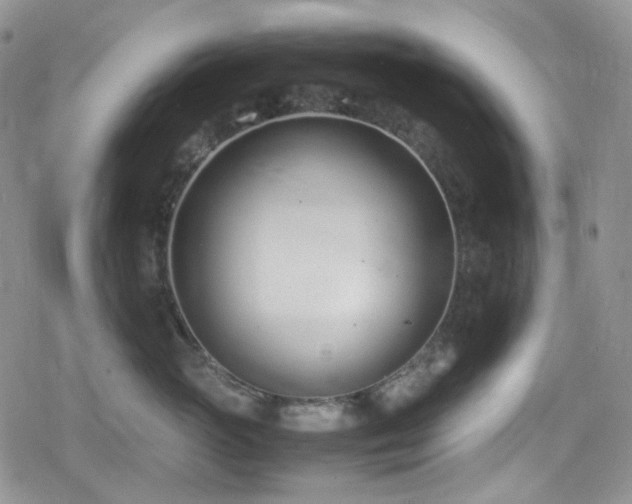 X0000080170765200612081400
