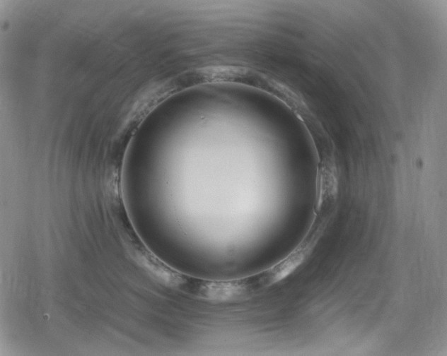 X0000080170766200612081400
