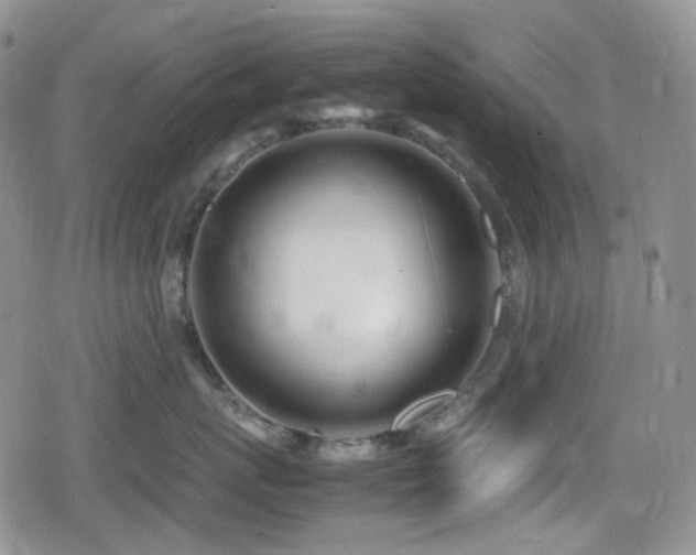 X0000080170767200612081400