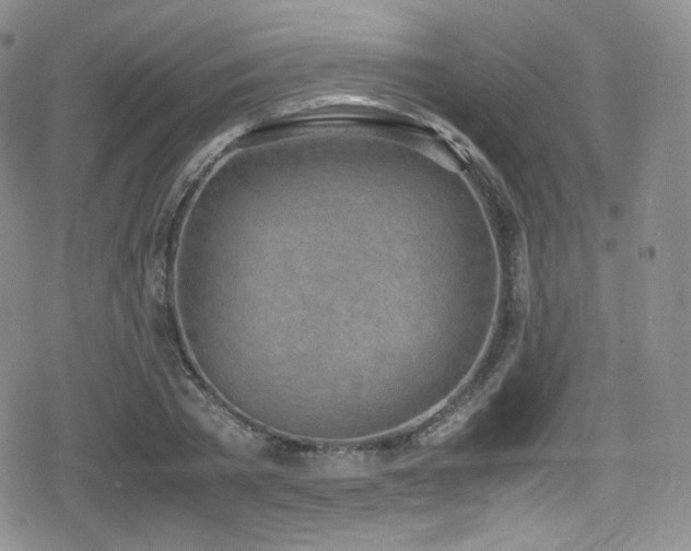 X0000080170785200612081359