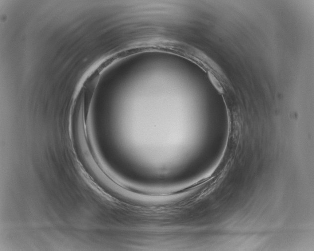 X0000080170788200612081359