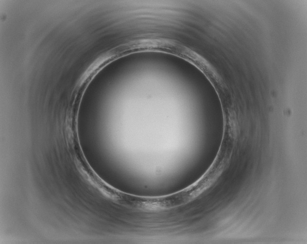 X0000080170794200612081359