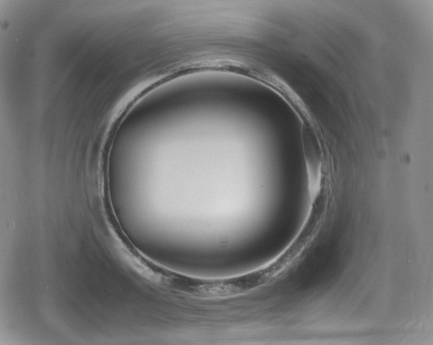 X0000080170795200612081359