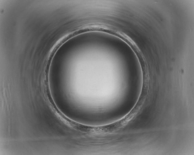 X0000080170799200612081359