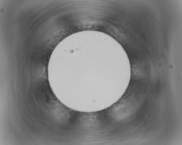 X0000080170820200612081358