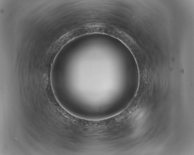 X0000080170821200612081358