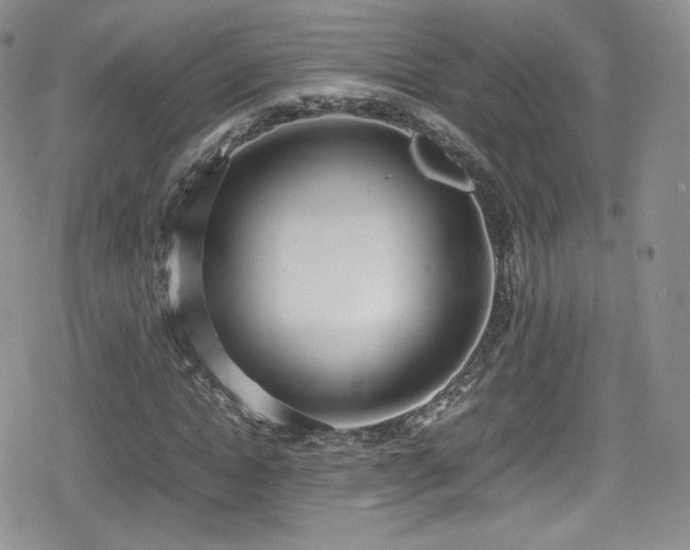 X0000080170822200612081358